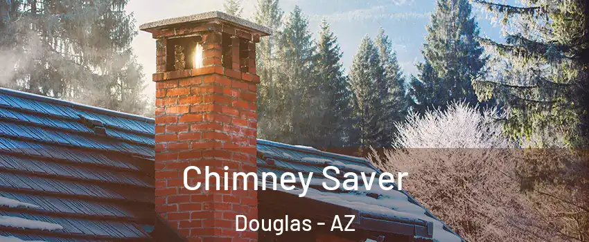  Chimney Saver Douglas - AZ
