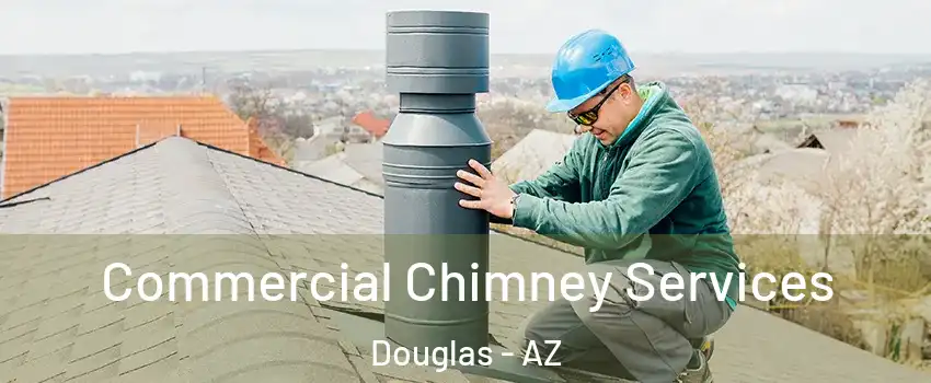  Commercial Chimney Services Douglas - AZ