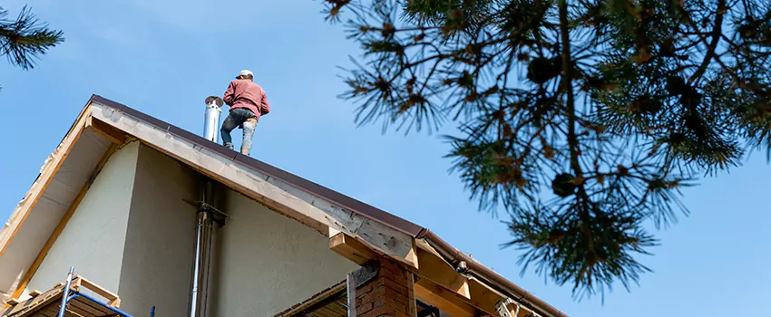 Birds Removal Contractors from Chimney in Douglas, AZ